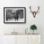 The Majestic Elephant - Framed Print-56627777-56627781