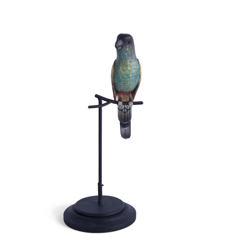 Hooded Parrot
