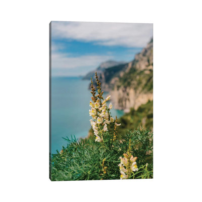 Amalfi Coast Blooms I by Bethany Young - Print on Canvas