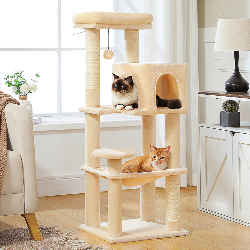 Arbre à chat