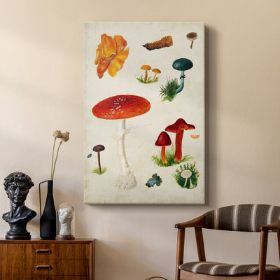 Mushroom Species VI - Gallery Cavas