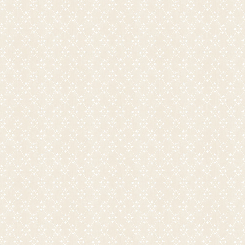 Paisley Print