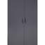 Abdul-Raheem 2 Door Steel Wardrobe-1511042249
