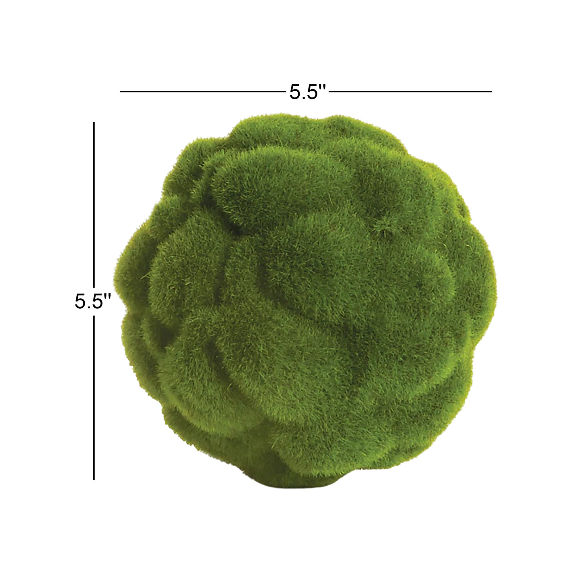 Preserved Mood Moss Orb 5.5 in.