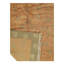 Secondina Floral Area Rug in Beige