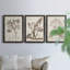 Antique sépia botanicals I - ensemble de 3 reproductions d'art sur toile-1241077294-1241077289