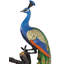 Patine spéciale Ellenmarie Peacock