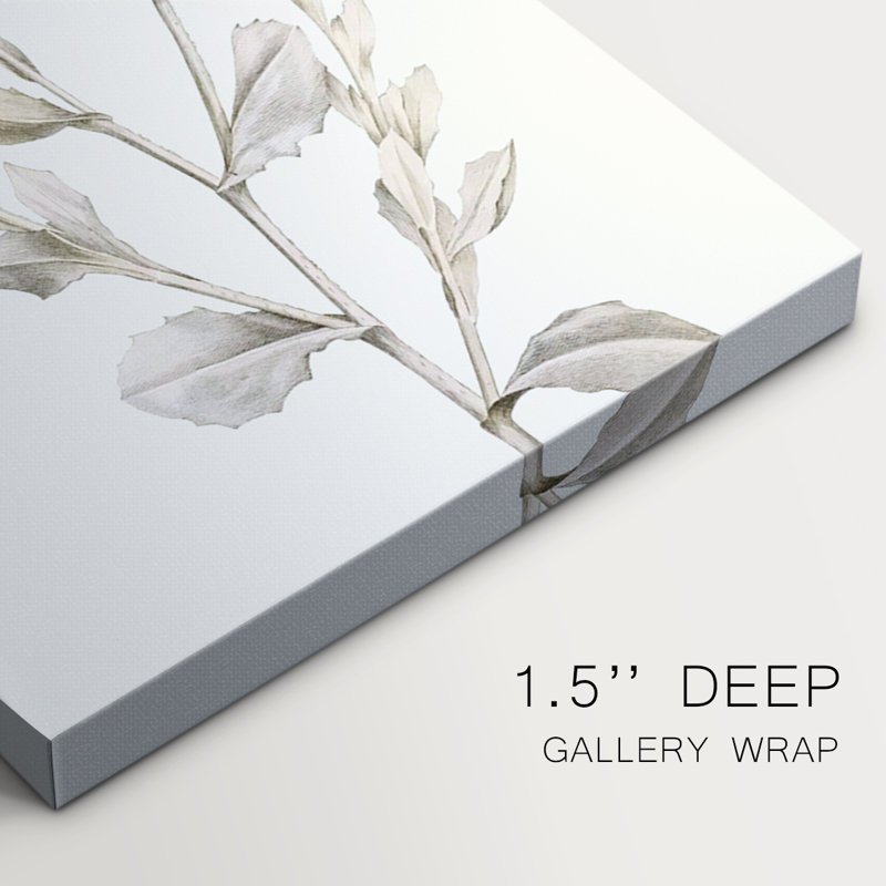 Neutral Botanical Study IV  -Custom Wrapped Gallery Canvas - 3 Pieces, 12" H x 24" W