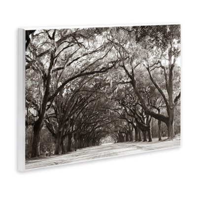 Georgia Stroll Tree Tunnel Wall Plaque, design by Nathan Larson