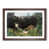 Walnut Framed