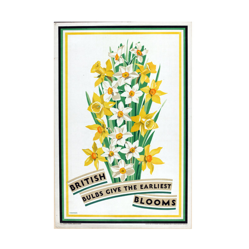 Impression sur toile Fawkes British Bulbs For Home Gardens, Early Blooms, H 19 po x l 12 po