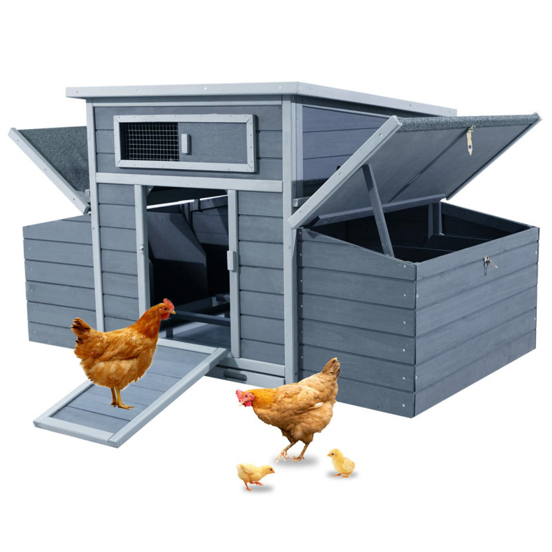 Grande cage à poules pour l'extérieur