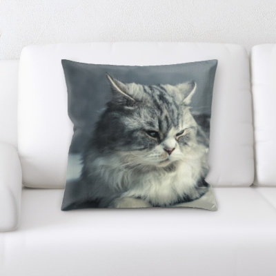 Coussin pour chat Lassiter