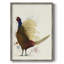 Pheasant Splash 8, reproduction encadrée - bois massif-1878008310