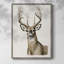 «Handsome Whitetail I», reproduction encadrée - bois massif-46648593