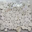Calacatta 12" x 12" Marble Mosaic Tile-79891868