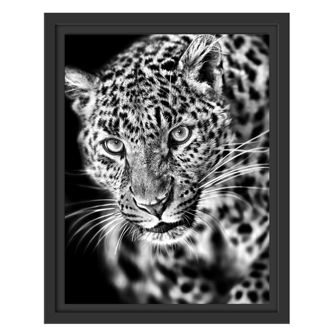 Gerahmtes Wandbild Anmutiger Leopard