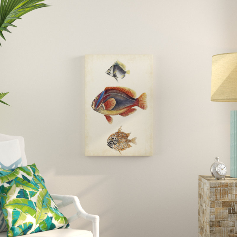 Antique Fish Species IV - Painting, 76cm H x 51cm W, Wrapped Canvas