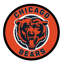 Plaque murale lumineuse NFL-93726572