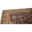 Hand Knotted Wool Area Rug in Brown And Gold