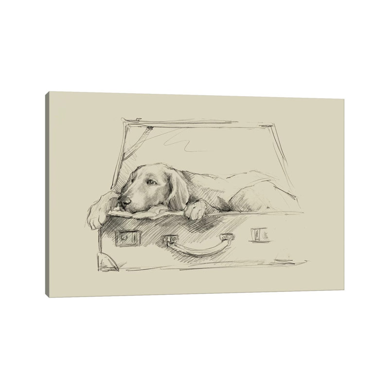 Stowaway III by Ethan Harper - Wrapped Canvas Print, 20.32 cm H x 30.48 cm W