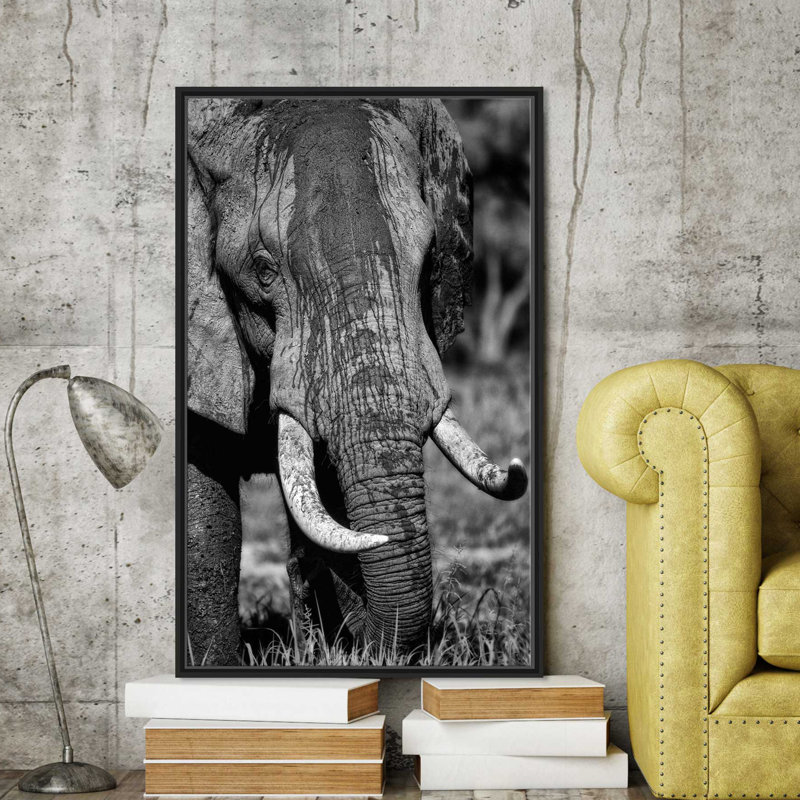 «Golden Eyes», reproduction de photo, H 43,5 po x l 27,5 po x P 2 po, Cadre flottant espresso