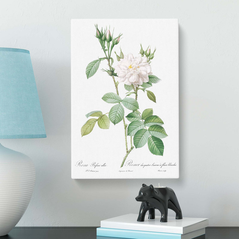 Autumn Damask Rose by Pierre-Joseph Redoute - Wrapped Canvas Painting Pint - Wrapped Canvas, 60cm H x 40cm W x 3cm D
