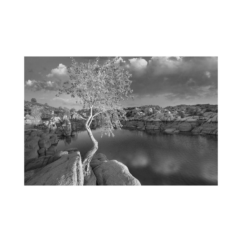 Cottonwood Growing In The Granite Dells, Watson Lake, Arizona by Tim Fitzharris - Wrapped Canvas Gallery-Wrapped Canvas Giclée