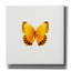 «Yellow Butterfly 2» par PhotoINC Studio-2103087415