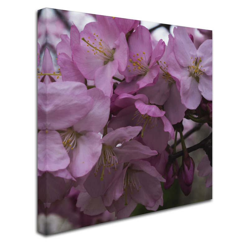 « cerise fleur », reproduction de photo sur toile tendue, H 18 po x l 18 po x P 2 po