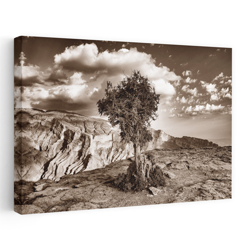 Simple Solitude Contemporary Landscape Cloud Desert, 24" H x 16" W