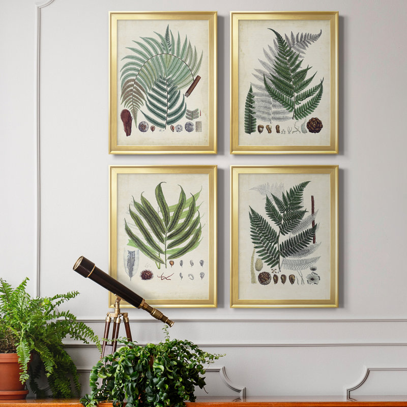 Collection Ferns I - ensemble de 4 peintures sur toile encadrées, H 24,5 po x l 74 po x P 1 po, Cadre doré