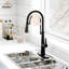 Spring Neck Standard Kitchen Faucet with Dual-Function spray head and Deck Plate-76655468