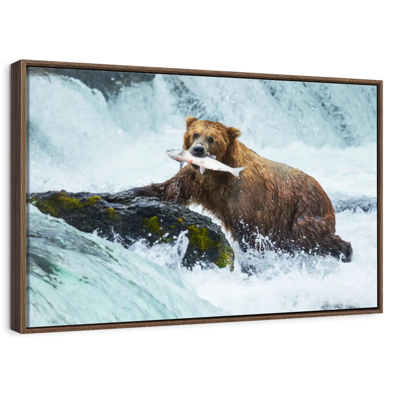 Pêche à l'ours simple, 37 po x 25 po, Cadre flottant noyer