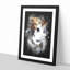 Beagle Dog - Picture Frame Graphic Art Print-56856474-56856479