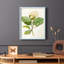 «Magnolia Flowers I», reproduction encadrée - bois massif-1994397079-1994397077