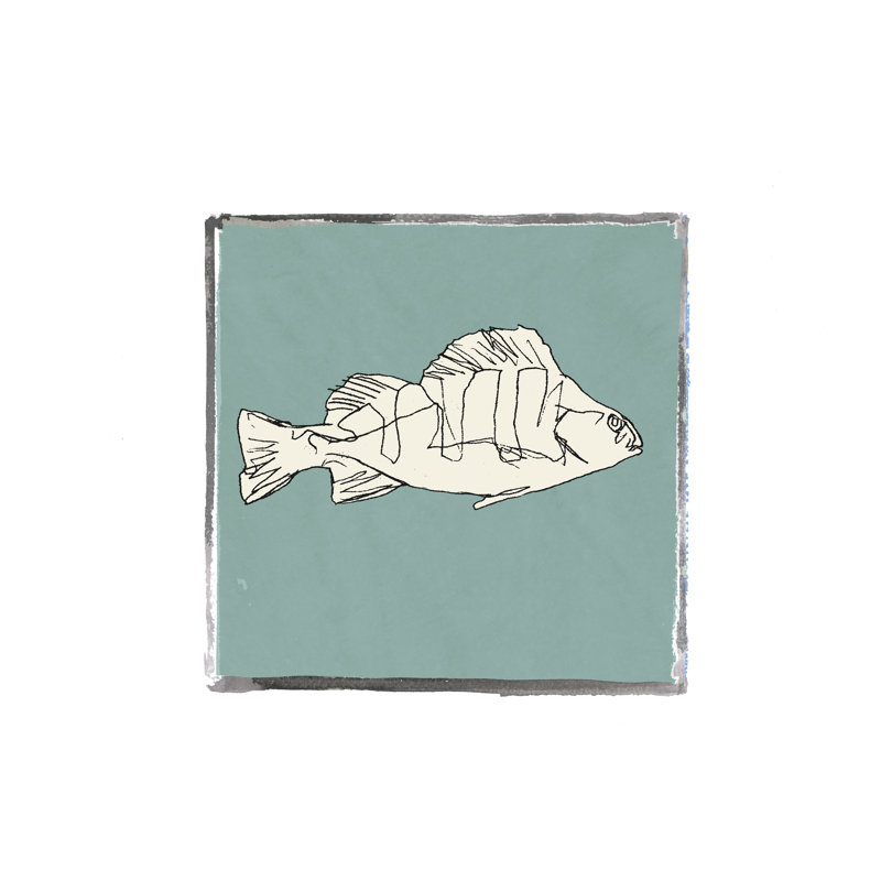 Block Print Fish III by Cartissi - Wrapped Canvas Print, 30cm H x 30cm W