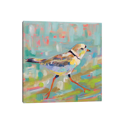 Coastal Plover I by Jeanette Vertentes - Wrapped Canvas Gallery-Wrapped Canvas Giclée