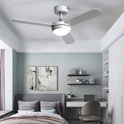 Cheryla Ceiling Fan with LED Lights and with Light Kit