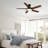 52" 5-Blade Modern Ceiling Fans with Lights and Remote Control-114222874