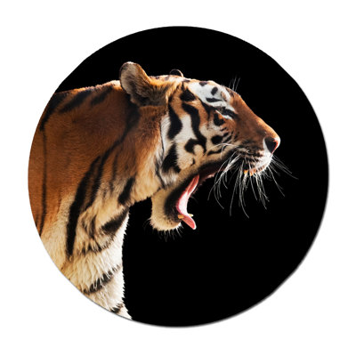 Tiger Print