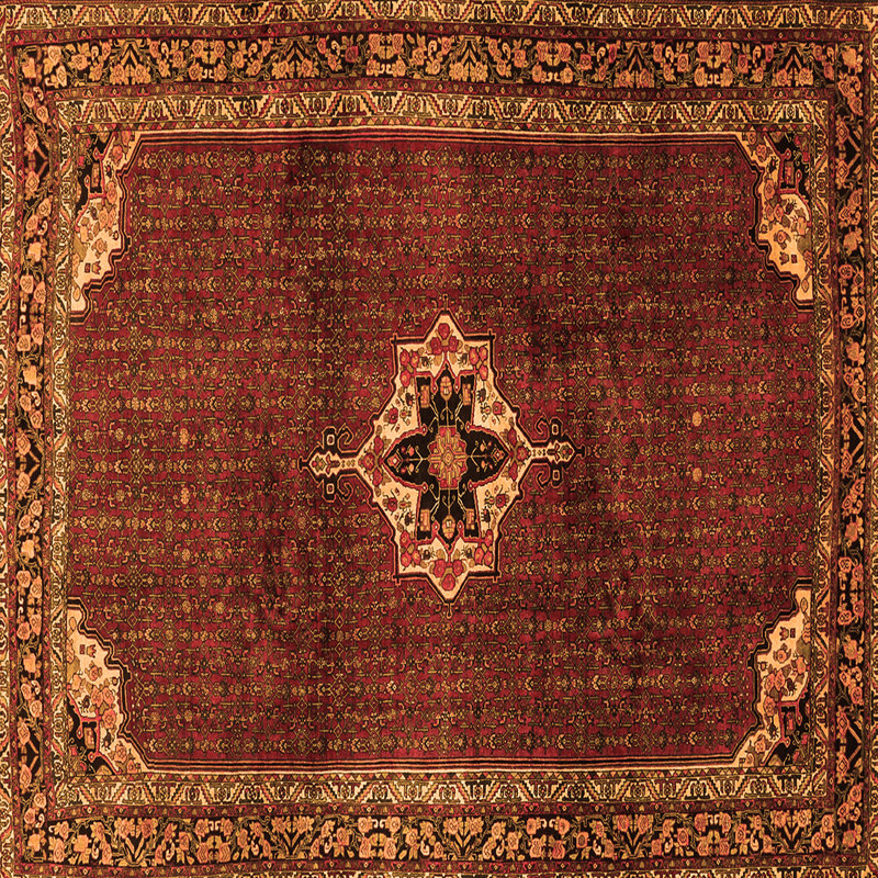 Mahinur Performance Oriental Indoor Rug, Square 4'