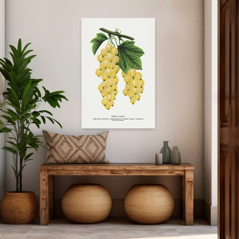 «White Grape Lithograph Abstract Retro Vintage Flower Landscape», art mural, H 48 po x l 32 po