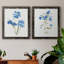«Blue Blossom Botanical I», ensemble de 2 peintures sur toile encadrées-1514347371-1514347365
