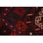 Tapis rouge Kilim 9 pi 13 po