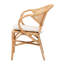 Dining Chair(Only Dining Chairs)