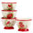Winter''s Medley 16Pc Dinnerware Set
