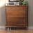 Walnut Solid wood Shoe Storage-1629032409