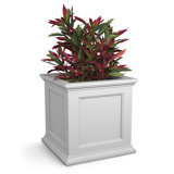 Anastasiya Pot Planter