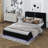 LED Bed Frame With Bluetooth Speaker-448759116-448759117
